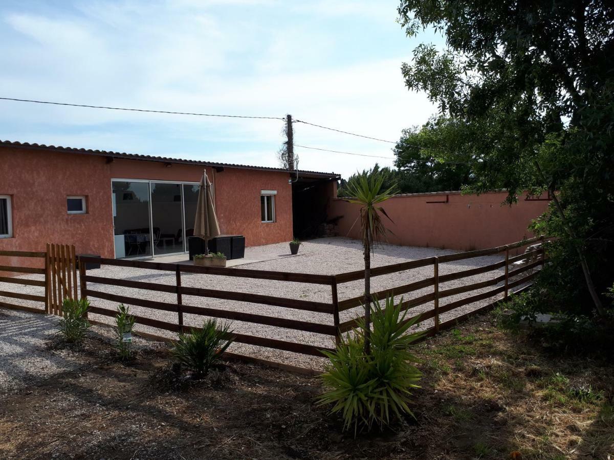 Maison Plain Pied Villelongue-de-la-Salanque Zewnętrze zdjęcie